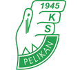 Logo Pelikan łowicz
